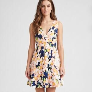 J.Crew Fit & Flare Dress Womens 2 Multicolor Navy Floral Pleated V-Neck Lined